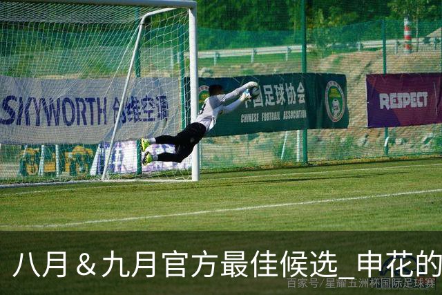 八月＆九月官方最佳候选 申花的阿苏埃 北京国安的法比奥安入围