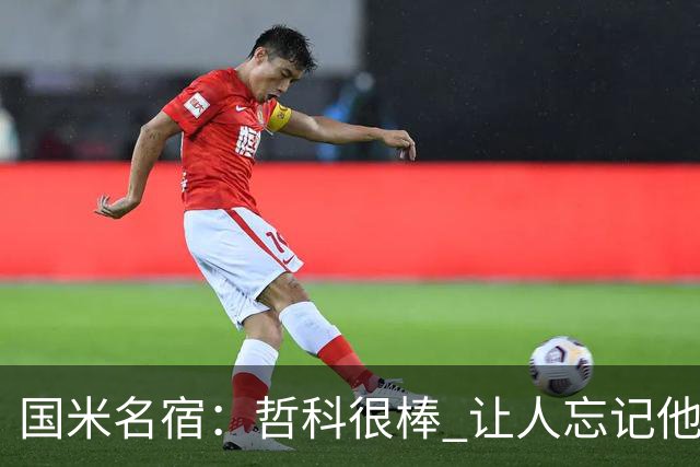 国米名宿：哲科很棒 让人忘记他已经这么大年纪
