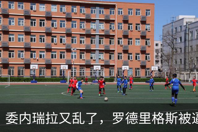委内瑞拉又乱了，罗德里格斯被逼宫，暗算马杜罗反给他人做嫁衣