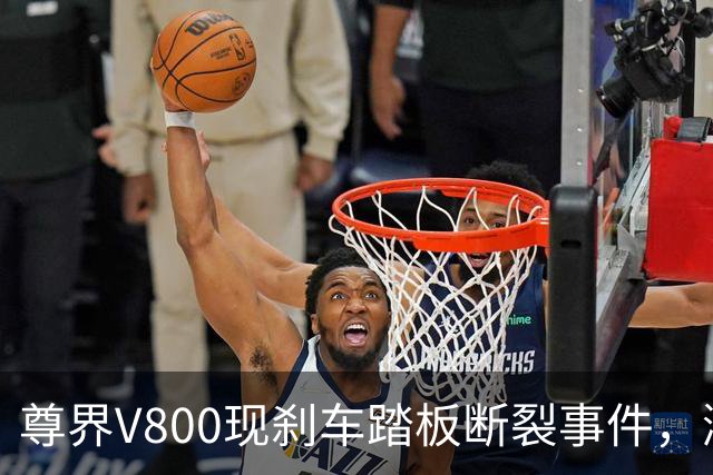 尊界V800现刹车踏板断裂事件，鸿蒙智行销售称被消费者追问了一天