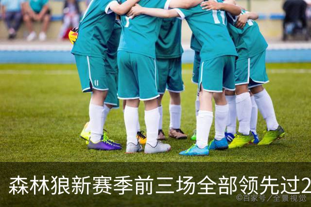 森林狼新赛季前三场全部领先过20+ 对手分别是热火、魔术和猛龙