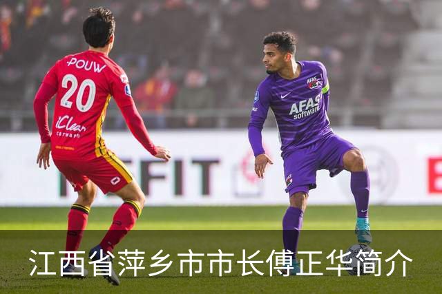 江西省萍乡市市长傅正华简介