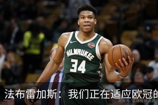 法布雷加斯：我们正在适应欧冠的节奏，这并不容易