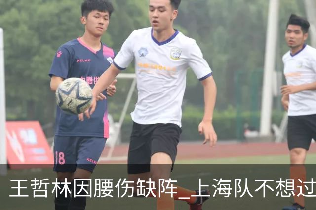 王哲林因腰伤缺阵 上海队不想过度使用大王
