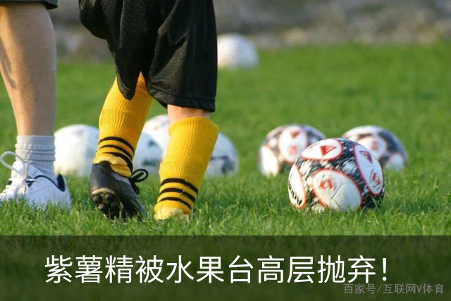 紫薯精被水果台高层抛弃！
