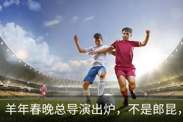 羊年春晚总导演出炉，不是郎昆，也不是哈文，而是刚收获好评的她