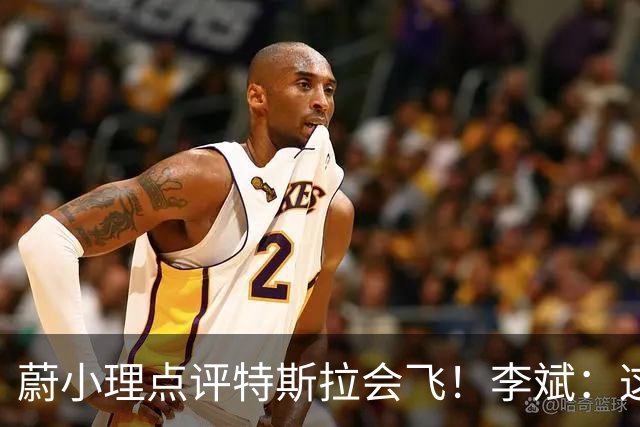 蔚小理点评特斯拉会飞！李斌：这个我们真没有 理想高管：面目全非