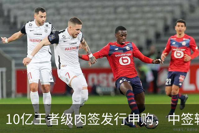 10亿王者级肉签发行申购，中签较容易，股民打新能吃肉！