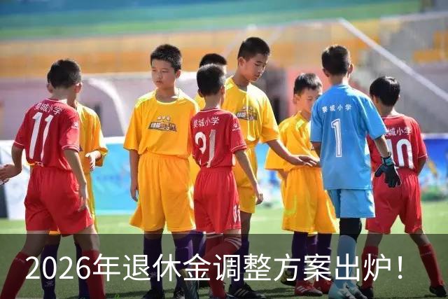 2026年退休金调整方案出炉！