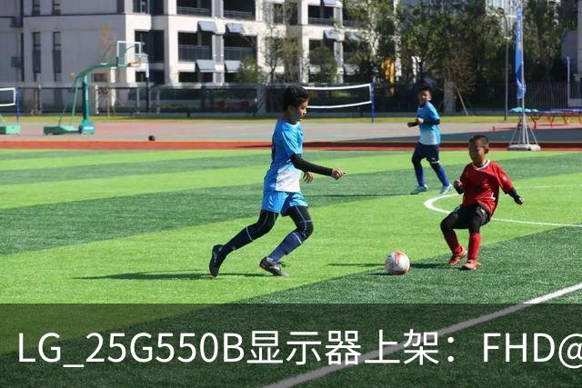 LG 25G550B显示器上架：FHD@300Hz，黄金电竞尺寸，售价1199元